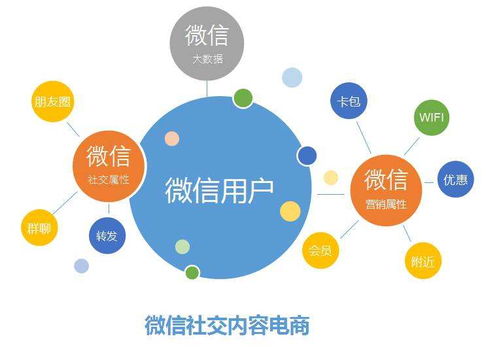 學校教育管理信息系統與網絡信息技術融合開發路徑探究